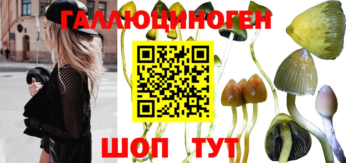 Кувандык  Галлюциногенные грибы мицелий  Вход с VPN 