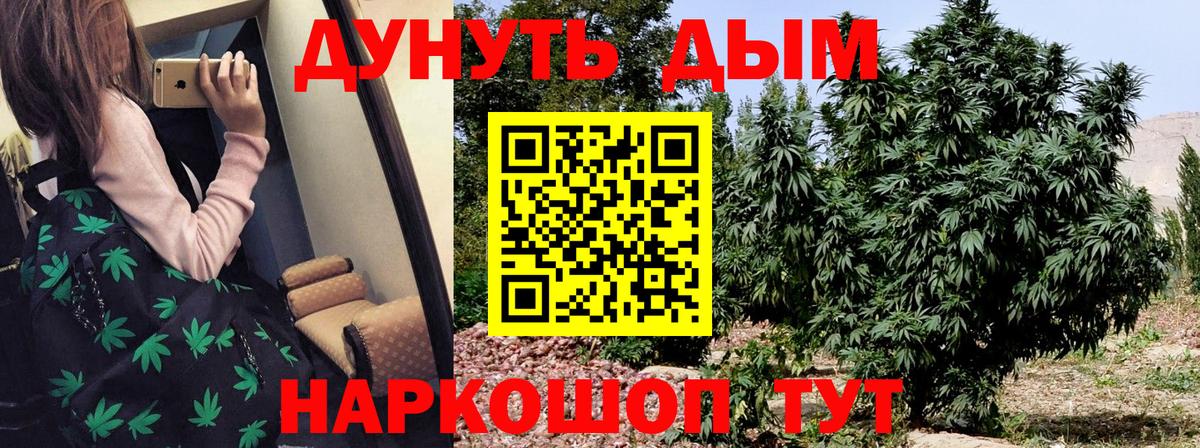 Канабис OG Kush Кувандык